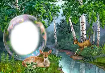 Foto effect van de categorie Verschillend № 149352 Foto effect van de categorie Verschillend № 149352