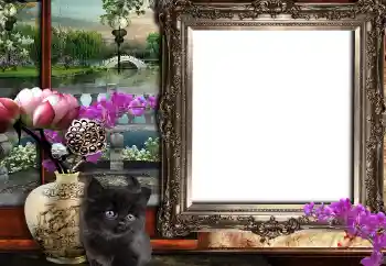 Foto effect van de categorie Verschillend № 149361 Foto effect van de categorie Verschillend № 149361