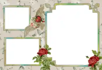 Foto effect van de categorie Verschillend № 15030