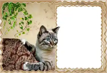 Foto effect van de categorie Verschillend № 150513 Foto effect van de categorie Verschillend № 150513