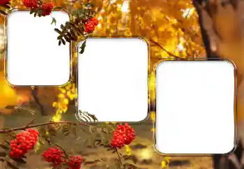 Foto effect van de categorie Verschillend № 150527 Foto effect van de categorie Verschillend № 150527