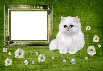 Foto effect van de categorie Verschillend № 150550 Foto effect van de categorie Verschillend № 150550