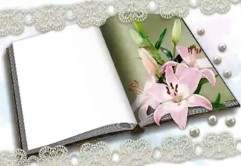 Foto effect van de categorie Verschillend № 150570 Foto effect van de categorie Verschillend № 150570