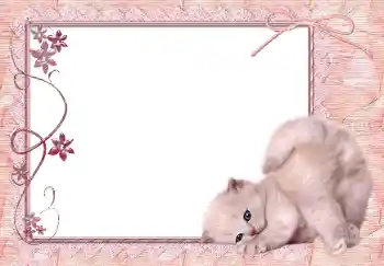 Foto effect van de categorie Verschillend № 150650 Foto effect van de categorie Verschillend № 150650