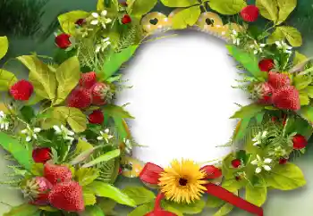 Foto effect van de categorie Verschillend № 151668 Foto effect van de categorie Verschillend № 151668