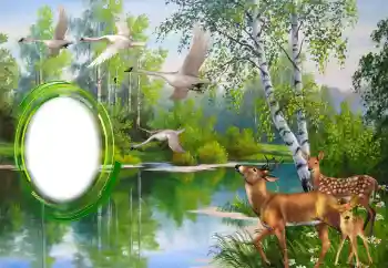 Foto effect van de categorie Verschillend № 151671 Foto effect van de categorie Verschillend № 151671