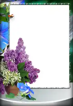 Foto effect van de categorie Verschillend № 151796 Foto effect van de categorie Verschillend № 151796