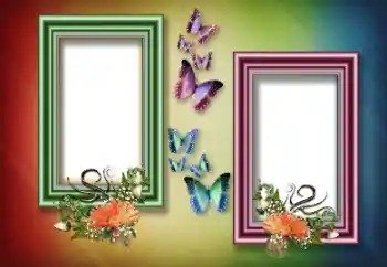 Foto effect van de categorie Verschillend № 151817 Foto effect van de categorie Verschillend № 151817