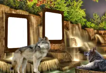 Foto effect van de categorie Verschillend № 153016 Foto effect van de categorie Verschillend № 153016