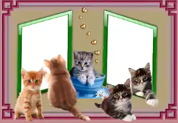 Foto effect van de categorie Verschillend № 153045 Foto effect van de categorie Verschillend № 153045