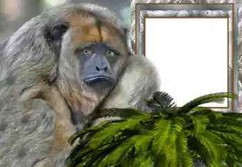 Foto effect van de categorie Verschillend № 154503 Foto effect van de categorie Verschillend № 154503