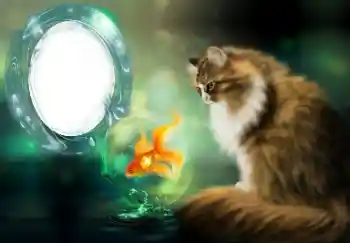 Foto effect van de categorie Verschillend № 154509 Foto effect van de categorie Verschillend № 154509