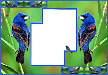 Foto effect van de categorie Verschillend № 154512 Foto effect van de categorie Verschillend № 154512