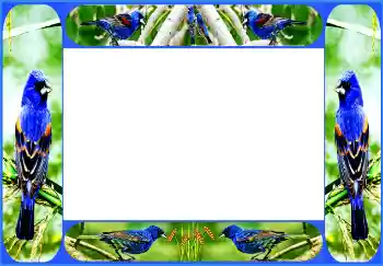 Foto effect van de categorie Verschillend № 154514 Foto effect van de categorie Verschillend № 154514