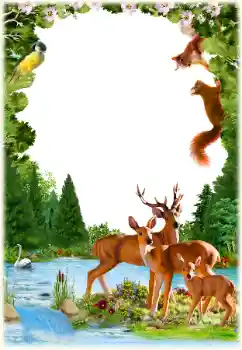 Foto effect van de categorie Verschillend № 154547 Foto effect van de categorie Verschillend № 154547