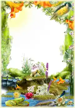 Foto effect van de categorie Verschillend № 154548 Foto effect van de categorie Verschillend № 154548