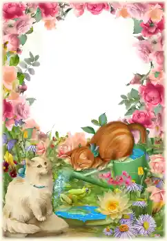 Foto effect van de categorie Verschillend № 154549 Foto effect van de categorie Verschillend № 154549