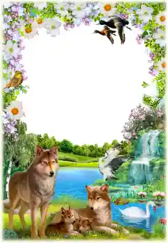 Foto effect van de categorie Verschillend № 154550 Foto effect van de categorie Verschillend № 154550