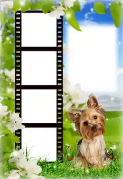 Foto effect van de categorie Verschillend № 154718