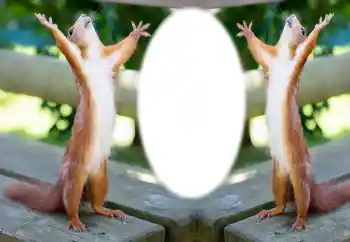 Foto effect van de categorie Verschillend № 154733