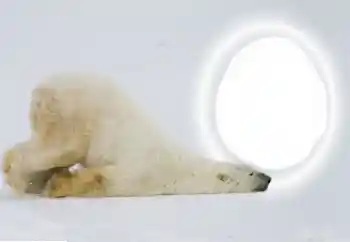 Foto effect van de categorie Verschillend № 154735