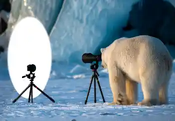 Foto effect van de categorie Verschillend № 154736