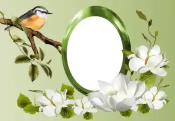 Foto effect van de categorie Verschillend № 155868