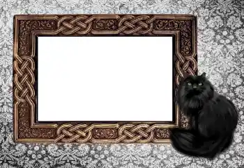 Foto effect van de categorie Verschillend № 155997