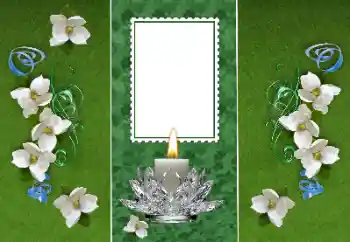 Foto effect van de categorie Verschillend № 157116 Foto effect van de categorie Verschillend № 157116