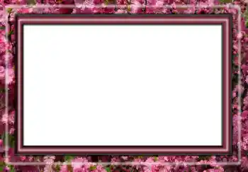 Foto effect van de categorie Verschillend № 158431 Foto effect van de categorie Verschillend № 158431