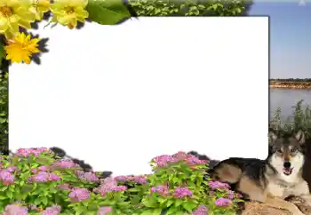 Foto effect van de categorie Verschillend № 159462 Foto effect van de categorie Verschillend № 159462