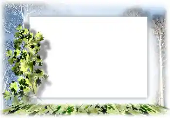 Foto effect van de categorie Verschillend № 160744