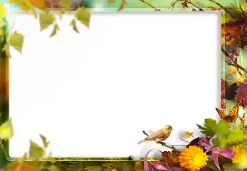 Foto effect van de categorie Verschillend № 160773 Foto effect van de categorie Verschillend № 160773