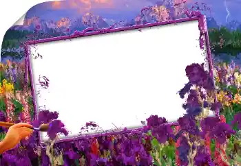 Foto effect van de categorie Verschillend № 160843