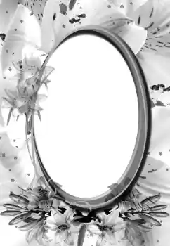 Foto effect van de categorie Verschillend № 160896 Foto effect van de categorie Verschillend № 160896