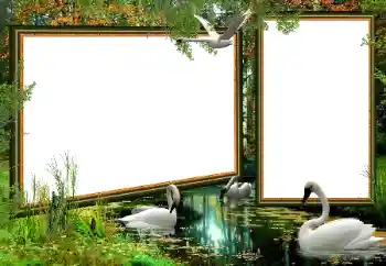 Foto effect van de categorie Verschillend № 160922 Foto effect van de categorie Verschillend № 160922