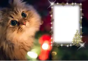 Foto effect van de categorie Verschillend № 162030 Foto effect van de categorie Verschillend № 162030