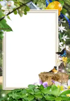 Foto effect van de categorie Verschillend № 162044 Foto effect van de categorie Verschillend № 162044