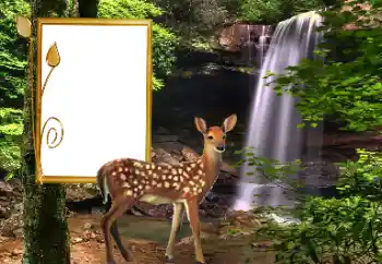 Foto effect van de categorie Verschillend № 163220 Foto effect van de categorie Verschillend № 163220