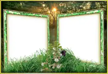 Foto effect van de categorie Verschillend № 163263 Foto effect van de categorie Verschillend № 163263