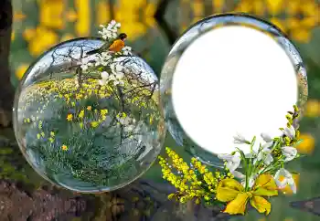 Foto effect van de categorie Verschillend № 163601