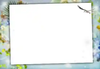 Foto effect van de categorie Verschillend № 164634