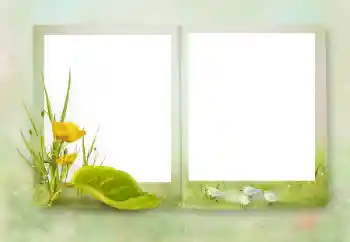 Foto effect van de categorie Verschillend № 164751