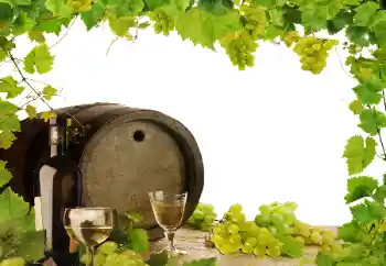 Foto effect van de categorie Verschillend № 164780