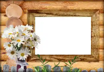 Foto effect van de categorie Verschillend № 164792