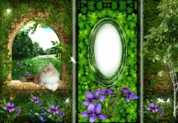 Foto effect van de categorie Verschillend № 166033