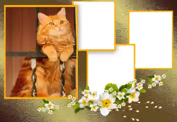 Foto effect van de categorie Verschillend № 166093