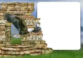 Foto effect van de categorie Verschillend № 166357