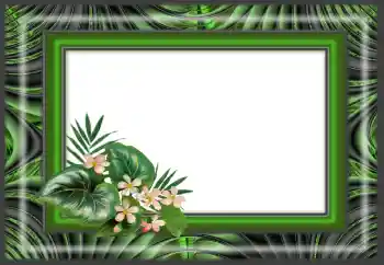 Foto effect van de categorie Verschillend № 166640