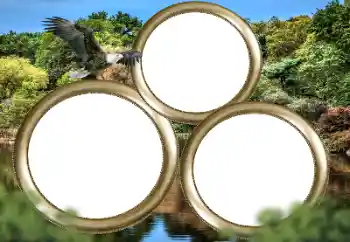 Foto effect van de categorie Verschillend № 167860